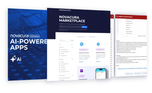 The cover of Novacura Marketplace Blog Post (on AI)