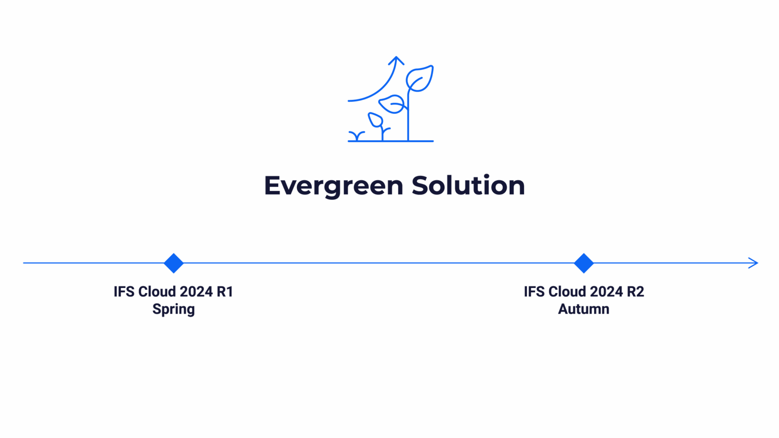 Evergreen, photo Novacura