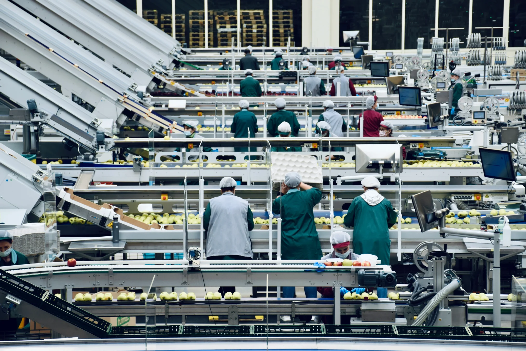 Workers on an assembly line processing and sorting fresh green apples in a large manufacturing facility.
